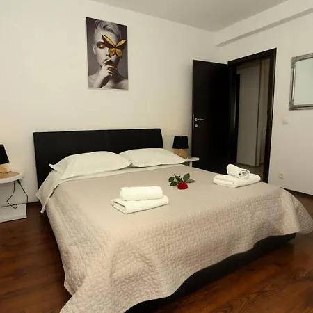 Bayset * טרוגיר